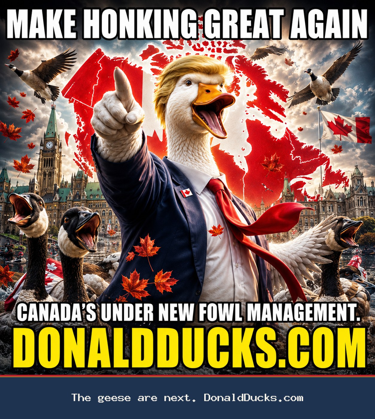 Donald Ducks meme