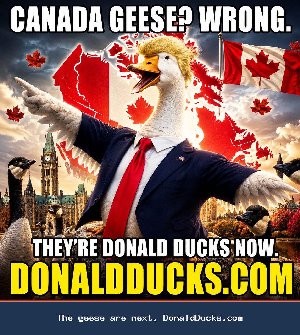 Donald Ducks meme