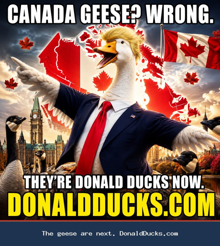 Donald Ducks meme