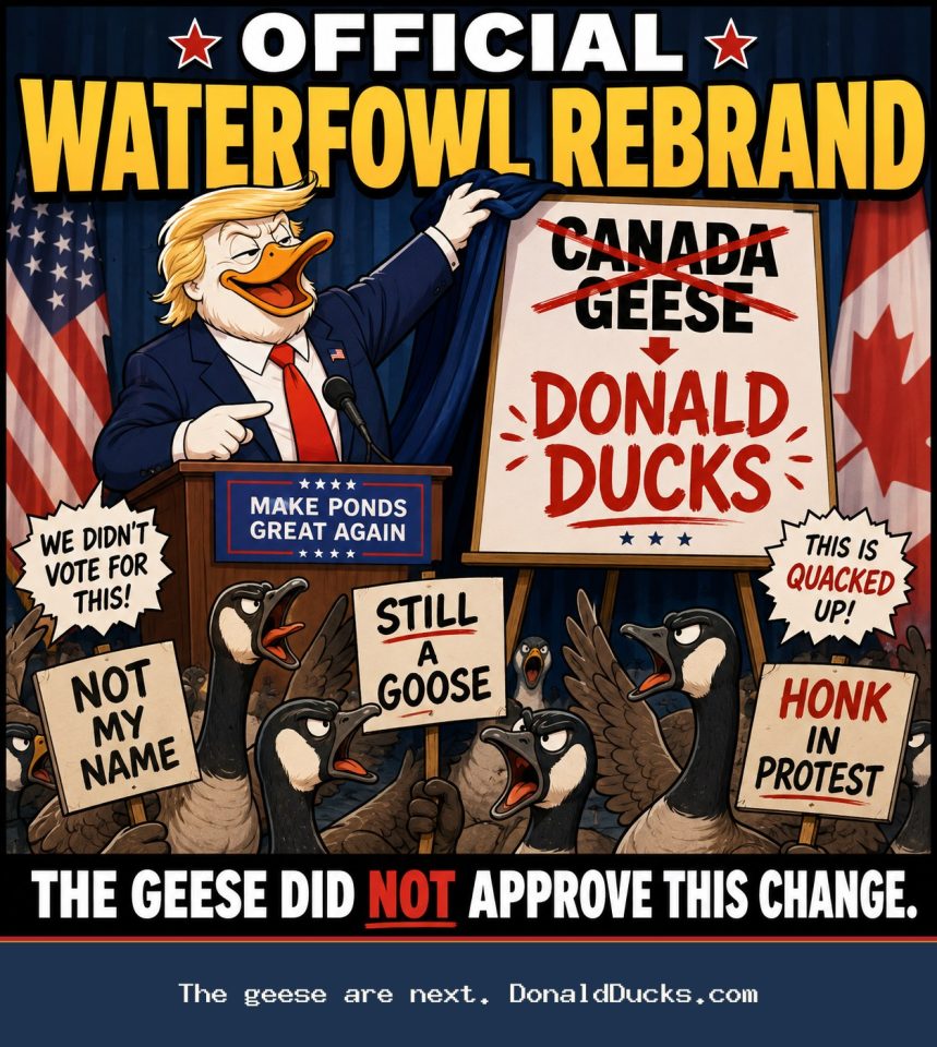 Donald Ducks meme